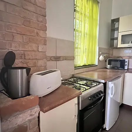 Retro Lakefront House With A Dock Balatonvilagos