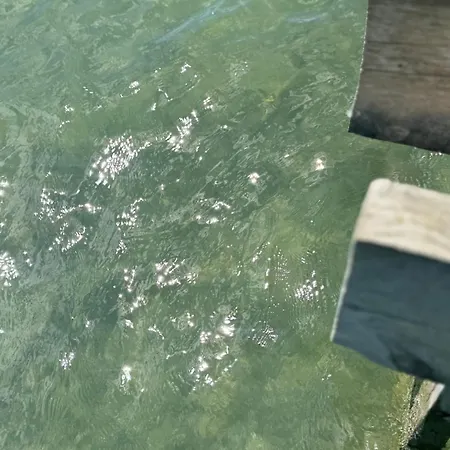 Retro Lakefront House With A Dock Balatonvilagos
