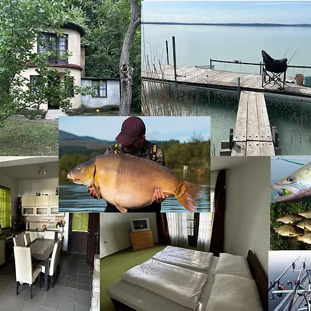 Retro Lakefront House With A Dock Chalet
