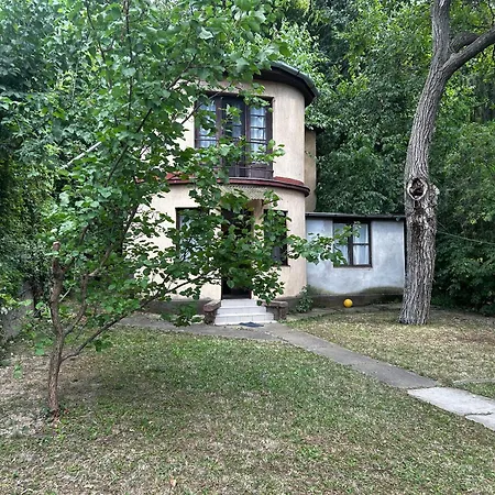 Chalet Retro Lakefront House With A Dock
