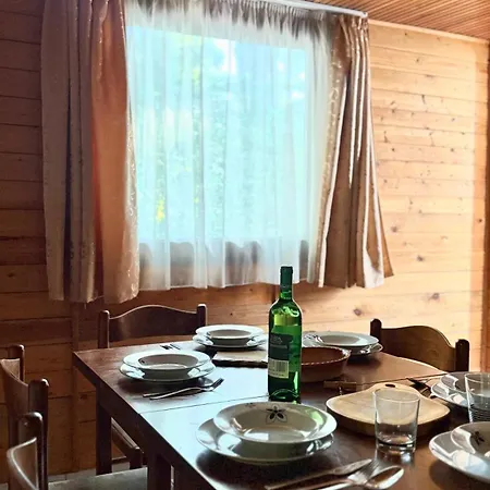 Retro Lakefront House With A Dock * Balatonvilagos